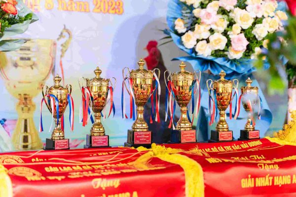 Gà Tre Bắc Cộc Bắc Tít 2024 13 Hội Thi Nét Đẹp Gà Tre Bắc Của Các Câu Lạc Bộ